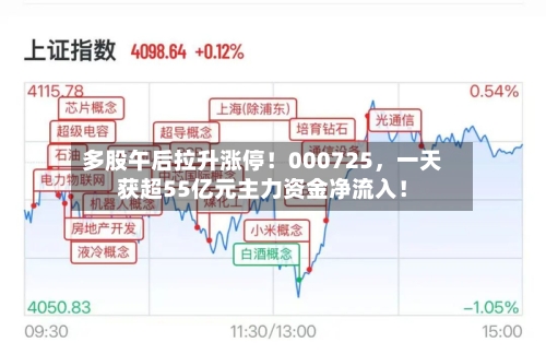 多股午后拉升涨停！000725，一天获超55亿元主力资金净流入！