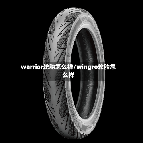 warrior轮胎怎么样/wingro轮胎怎么样-第3张图片