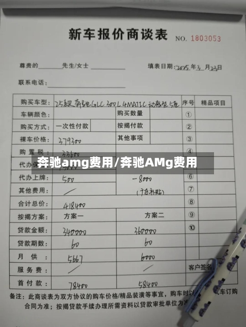 奔驰amg费用/奔驰AMg费用