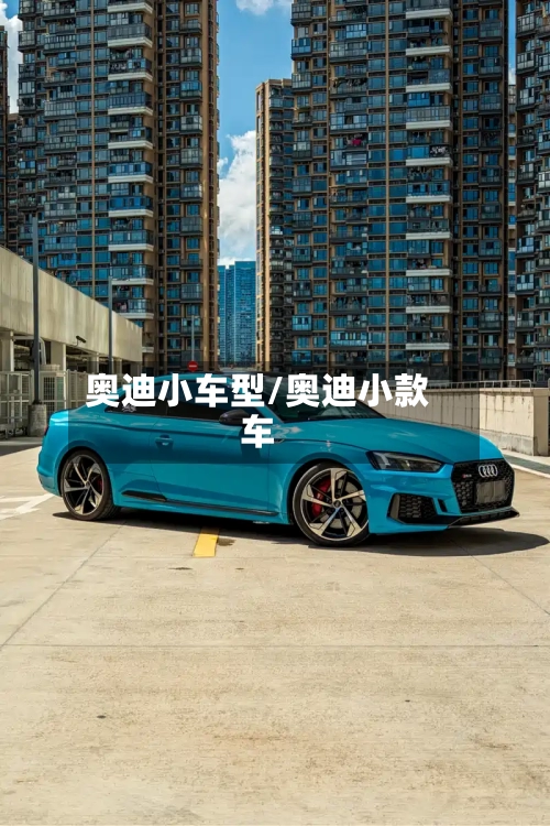 奥迪小车型/奥迪小款车