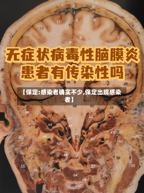 【保定:感染者确实不少,保定出现感染者】-第2张图片