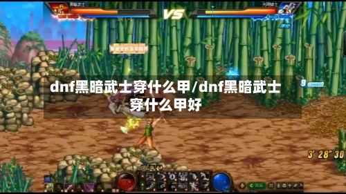 dnf黑暗武士穿什么甲/dnf黑暗武士穿什么甲好