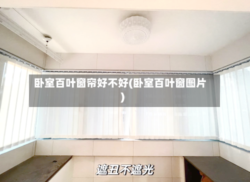 卧室百叶窗帘好不好(卧室百叶窗图片)-第3张图片