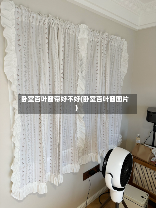 卧室百叶窗帘好不好(卧室百叶窗图片)