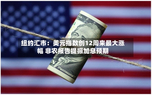 纽约汇市：美元指数创12周来最大涨幅 非农报告提振加息预期-第2张图片
